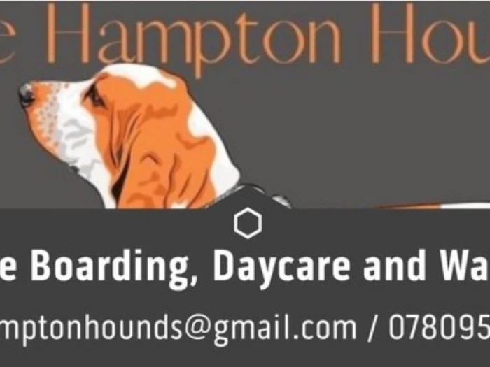 hampton hounds