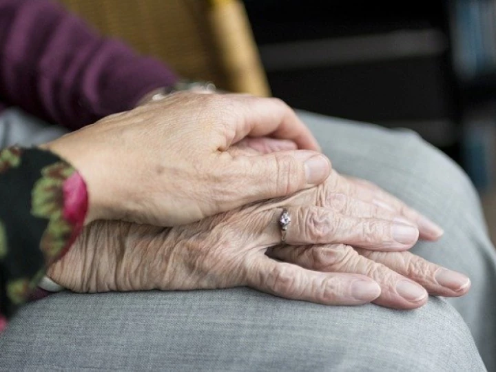 hands