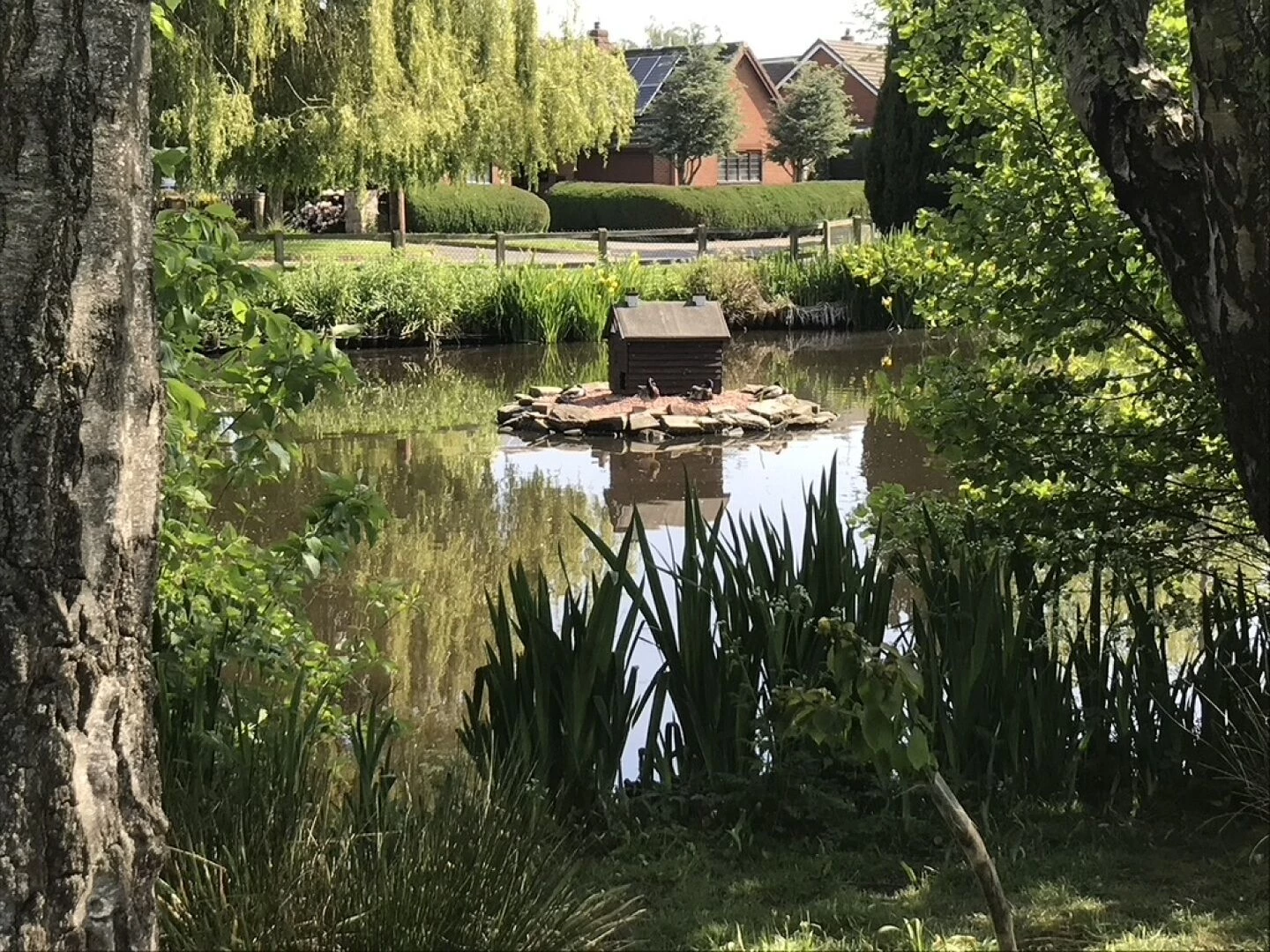 hankelow village pond