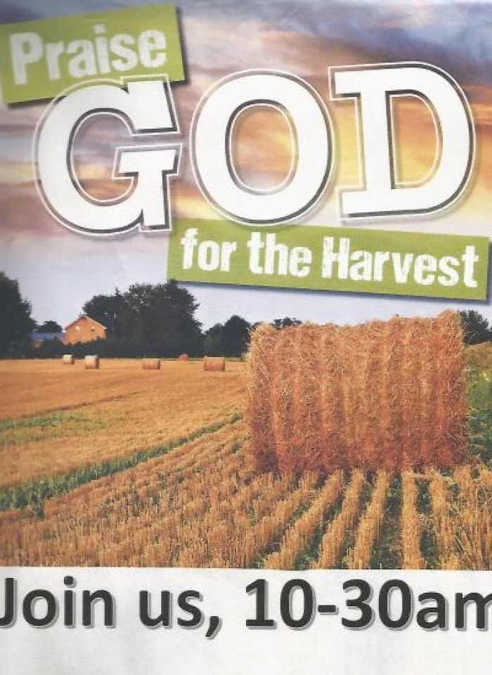 harvest 3919