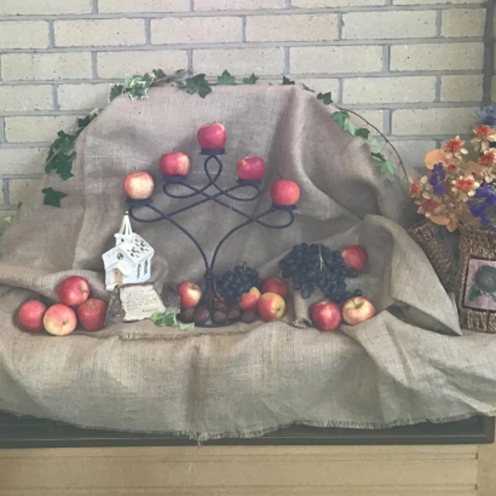 harvest apples