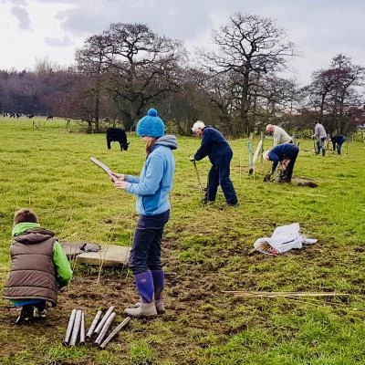 hedge planting 2018