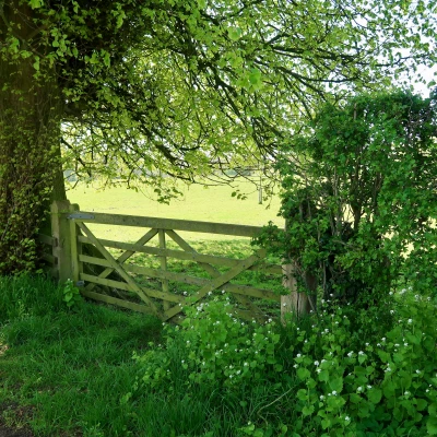 henbury onlineimage