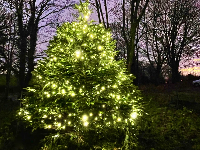 henbury xmas tree 2023