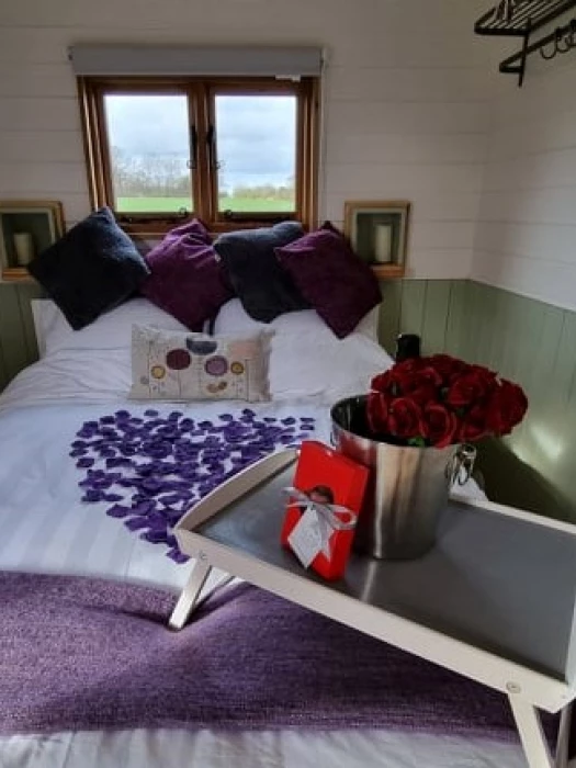 hodnet valentine 3