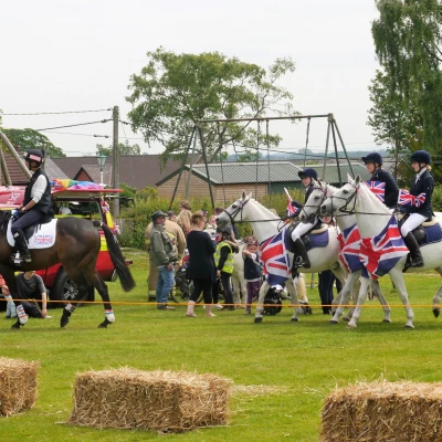 horses 2