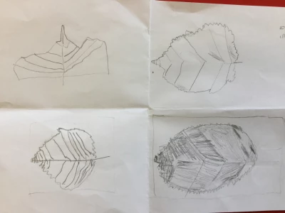 image 05e11511a0194dda9e7fcfa2b5f839dd