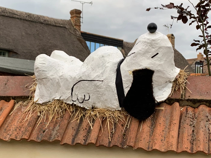 image 067 acum family snoopy