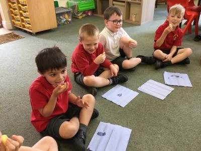 image 0a596576241c40b98b5ba2995af1d84b