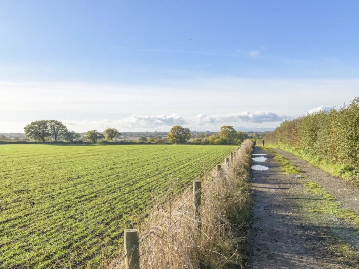 image 20231111 104739