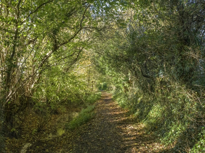 image 20231111 105553