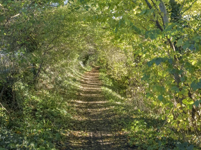 image 20231111 113603