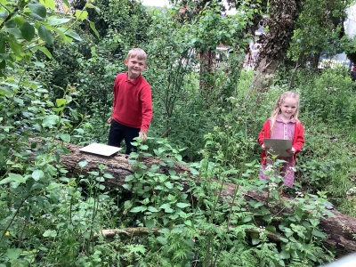 image 3edb2f5ac4db440da99ef8f0d33a8ec0