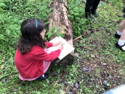 image 5424cc8f655042e898a7926c94aef1fe