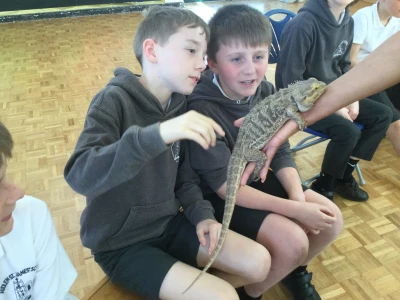 image 6100