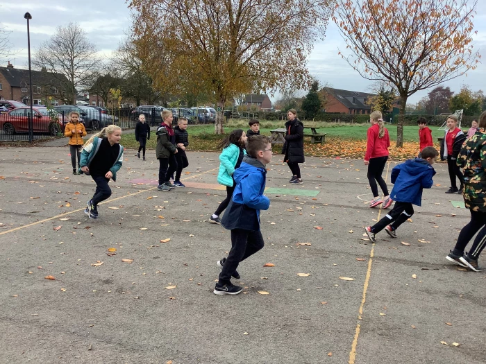 image 684bb27af8f5483785fb04a32e23289a