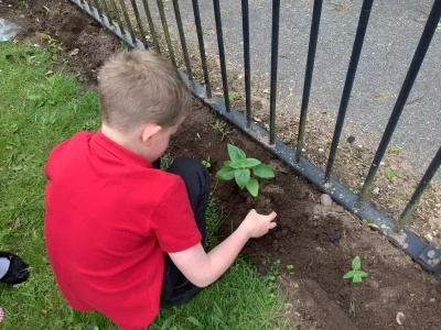 image 6a7fc2a6aaa84192ad3838b7bab00f5d