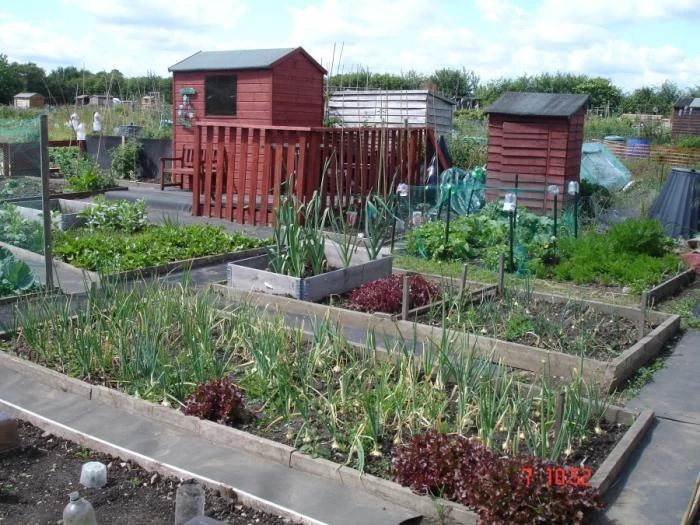 image of allotments