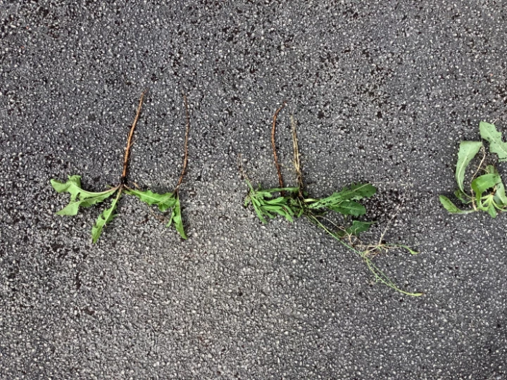 image0174