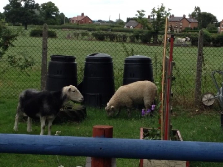 image0260