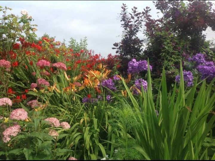 image0742