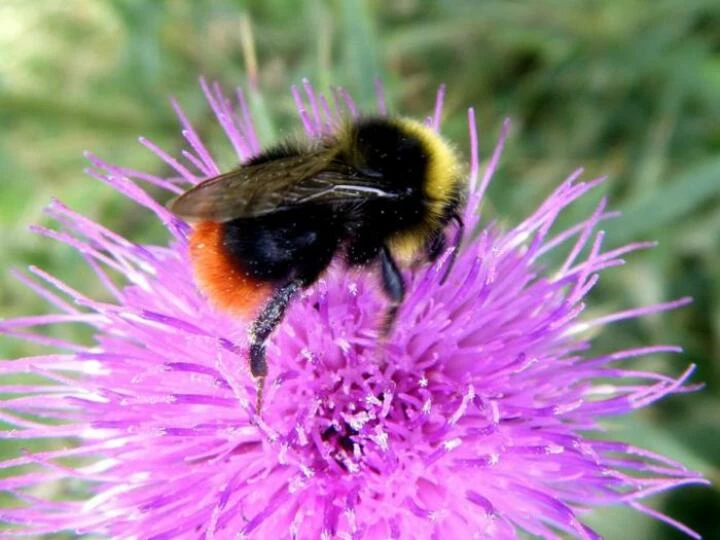 image0934