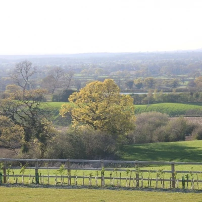 image2 1