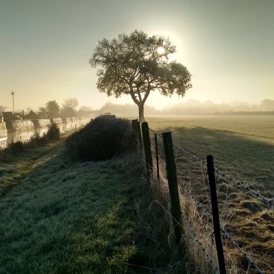 image20161125092828196hdr 2