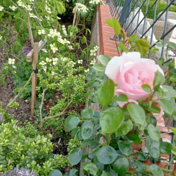 image20240612182541