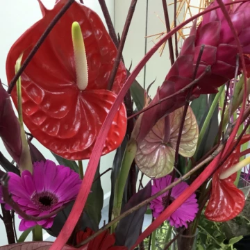 image6