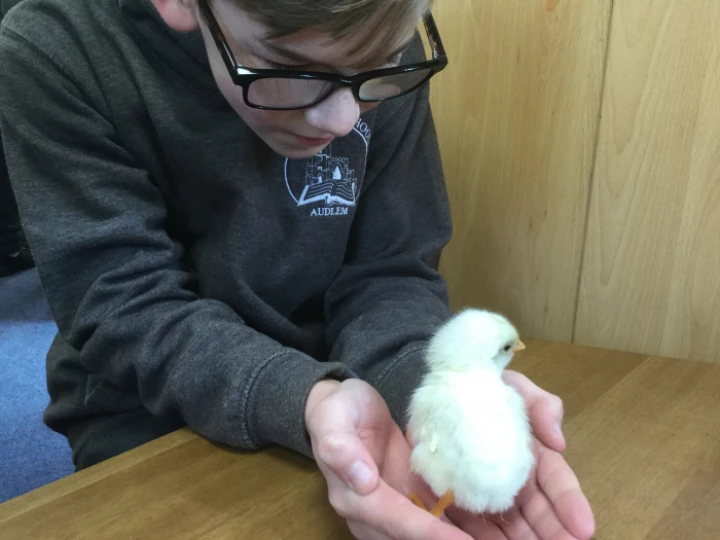 image6128