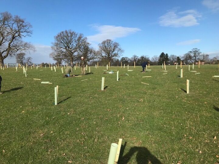 Sandstone ridge trust free trees for schools and communities