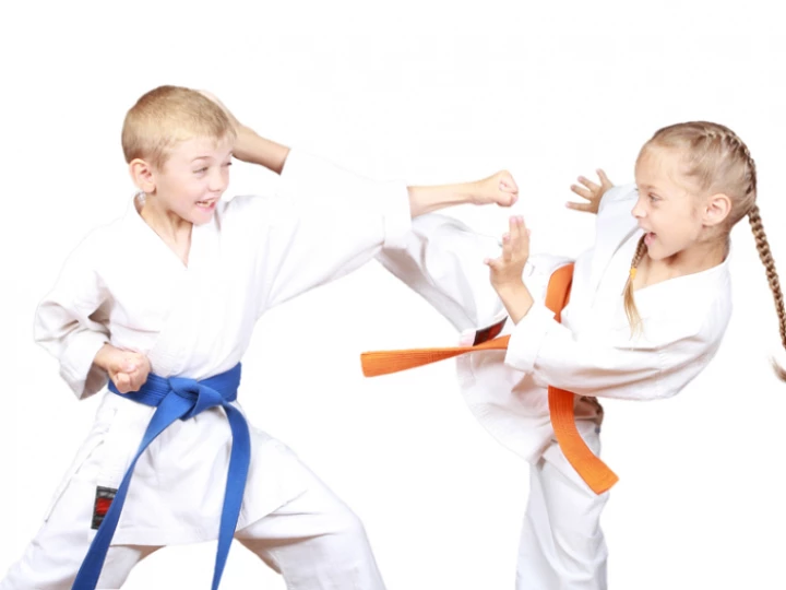 kidskarate3