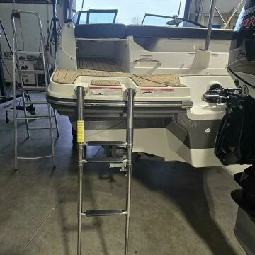 ladder