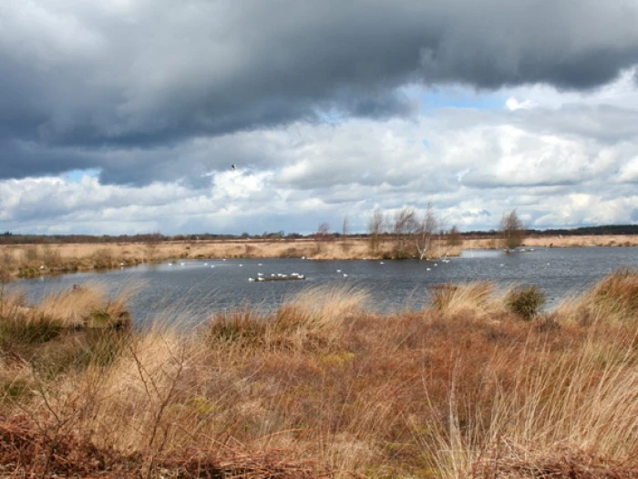 lakeonwhixallmossgeographorguk762733 1  copy