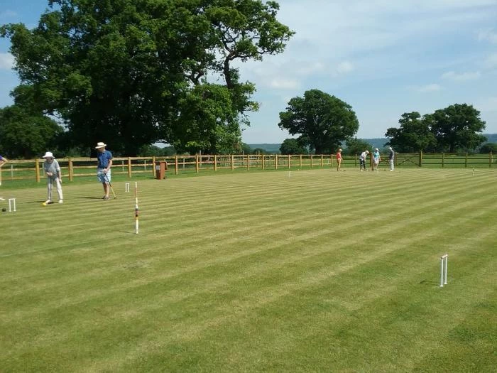 lawn with fence