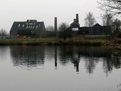 lion salt works