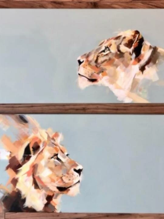 lions