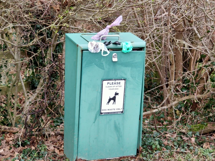 litter bin dog feb 2021 image20210217160022