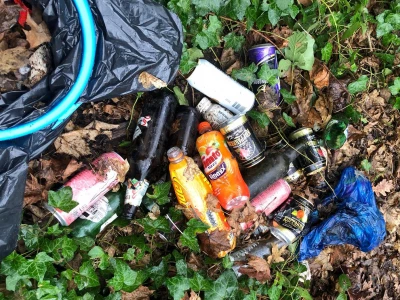 litter pick 1