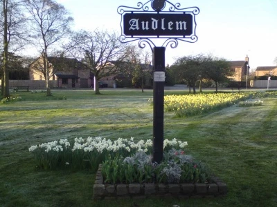 little heath with daffodils