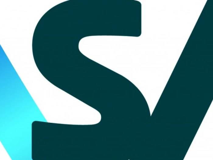 logo for nsi