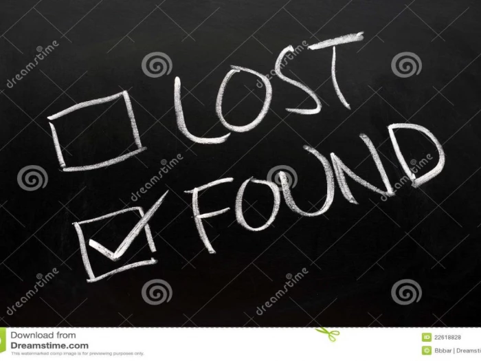 lostfoundcheckboxes1 22618828