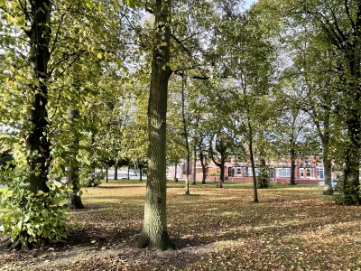lower walton green
