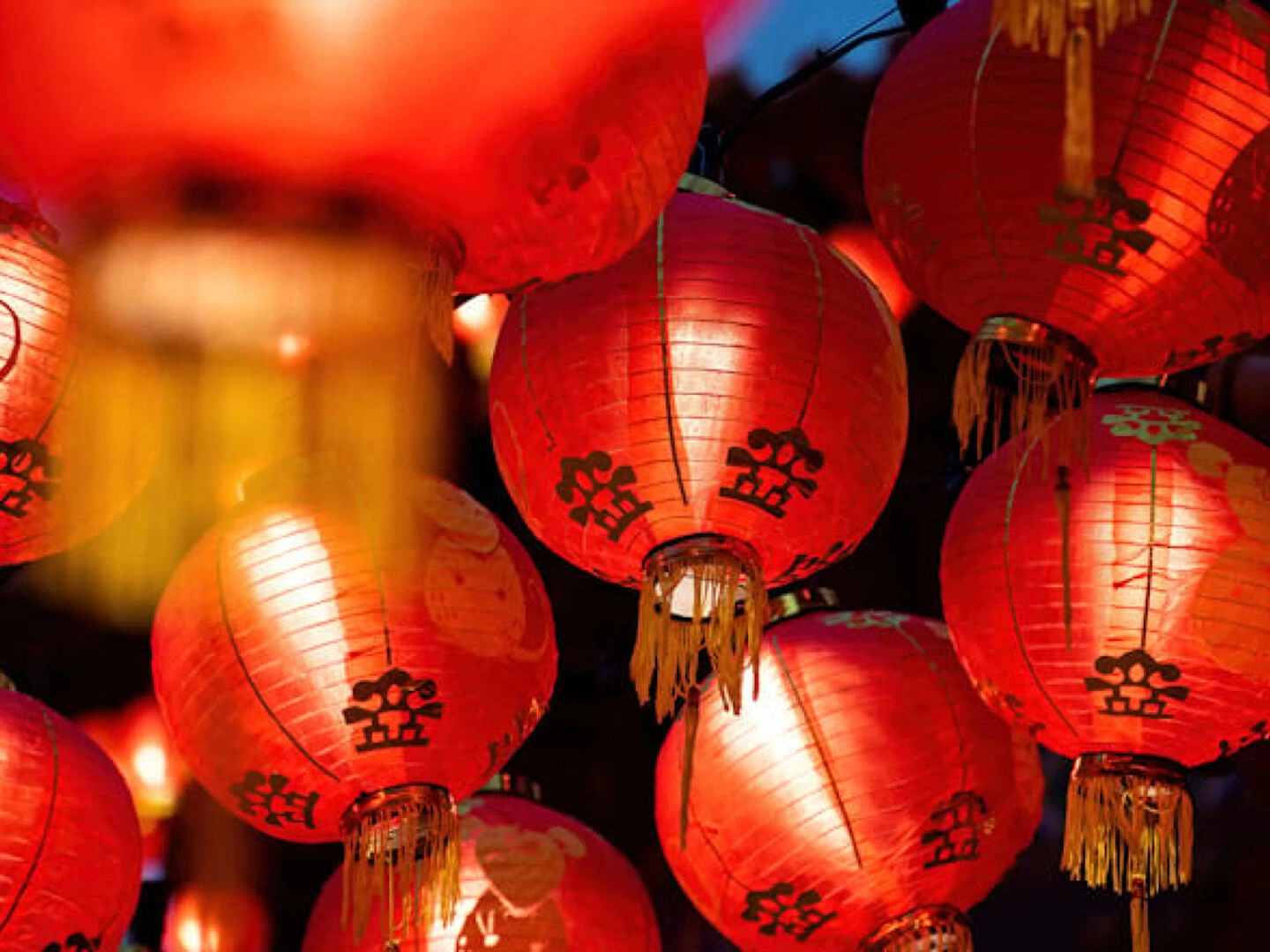 lunar new year