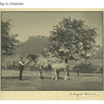 may in cheshire