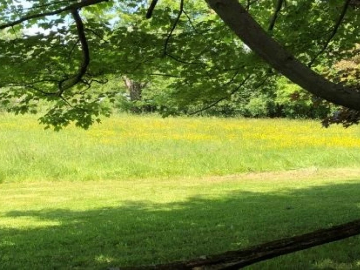 meadowland  getty