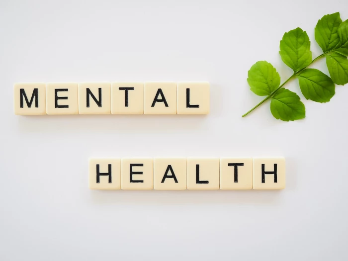 mental health wellbeing wellness