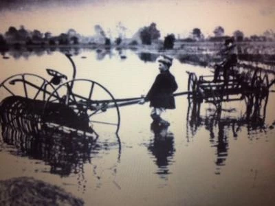 mickle trafford hayfield summer 1931