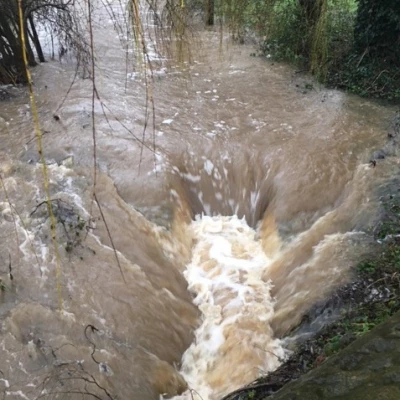 mill brook